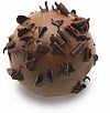 Zabaglione milk chocolate truffle