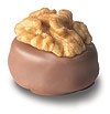 walnut chocolate