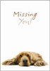 Missing you greeting card