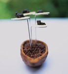 caviar-chocolate