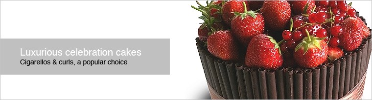 Chocolate cigarellos cake