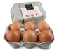 Chocolate hens eggs
