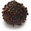 Rum dark chocolate truffle