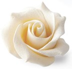White chocolate rose