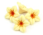White chocolate flower (lillies) decorations