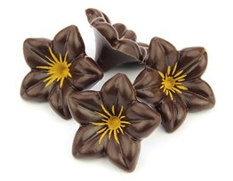 Dark Chocolate Flowers