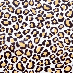 Chocolate Trading Co Leopard print chocolate transfer sheets x2