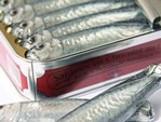 tin sardines closeup