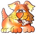 chocolate dog