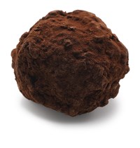 chocolate truffle