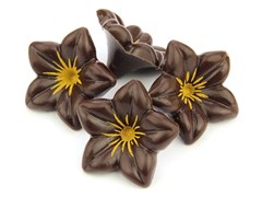 Dark chocolate flowers (lillies)