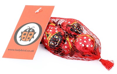 Personalised net of chocolate ladybirds