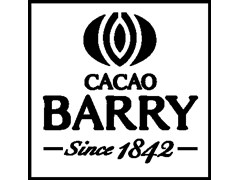 Cacao Barry chocolate