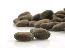 Cocoa pods on white background close up
