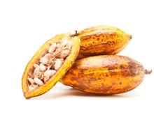 Pods on white background 2