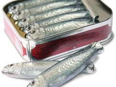 Tin of milk chocolate sardines