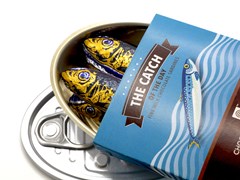 Milk Chocolate Sardine Tin