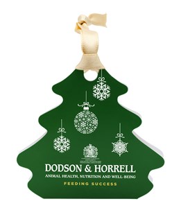 Click to view product details and reviews for Branded Christmas Tree Decoration.