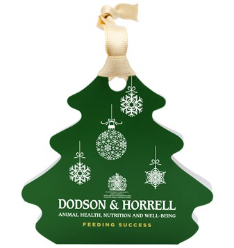 Personalised Christmas Tree Bauble with Chocolate
