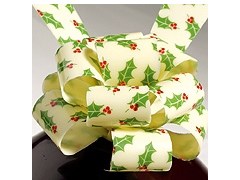 Holly chocolate transfer