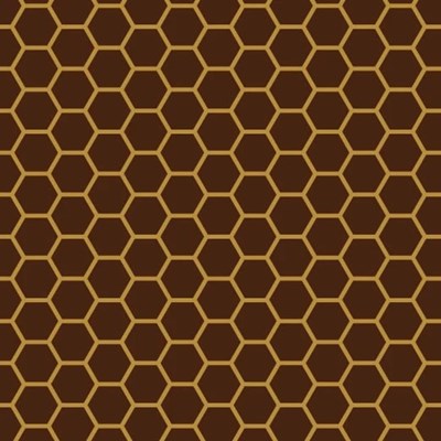 Honeycomb, chocolate transfer sheets x2 (shown on dark chocolate)