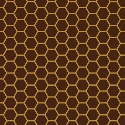 Honeycomb, chocolate transfer sheets x2 (shown on dark chocolate)