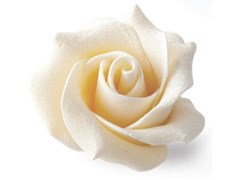White chocolate rose