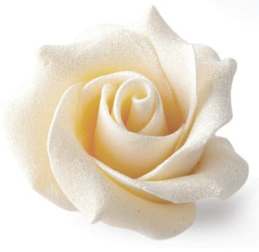 White chocolate rose
