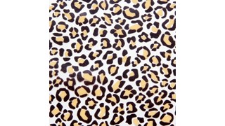 5pcs Chocolate Transfer Paper Mold Leopard Court Pattern DIY Cake
