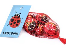 Ladybird chocolates net