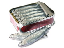 Tin of milk chocolate sardines