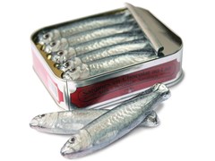 Tin of milk chocolate sardines